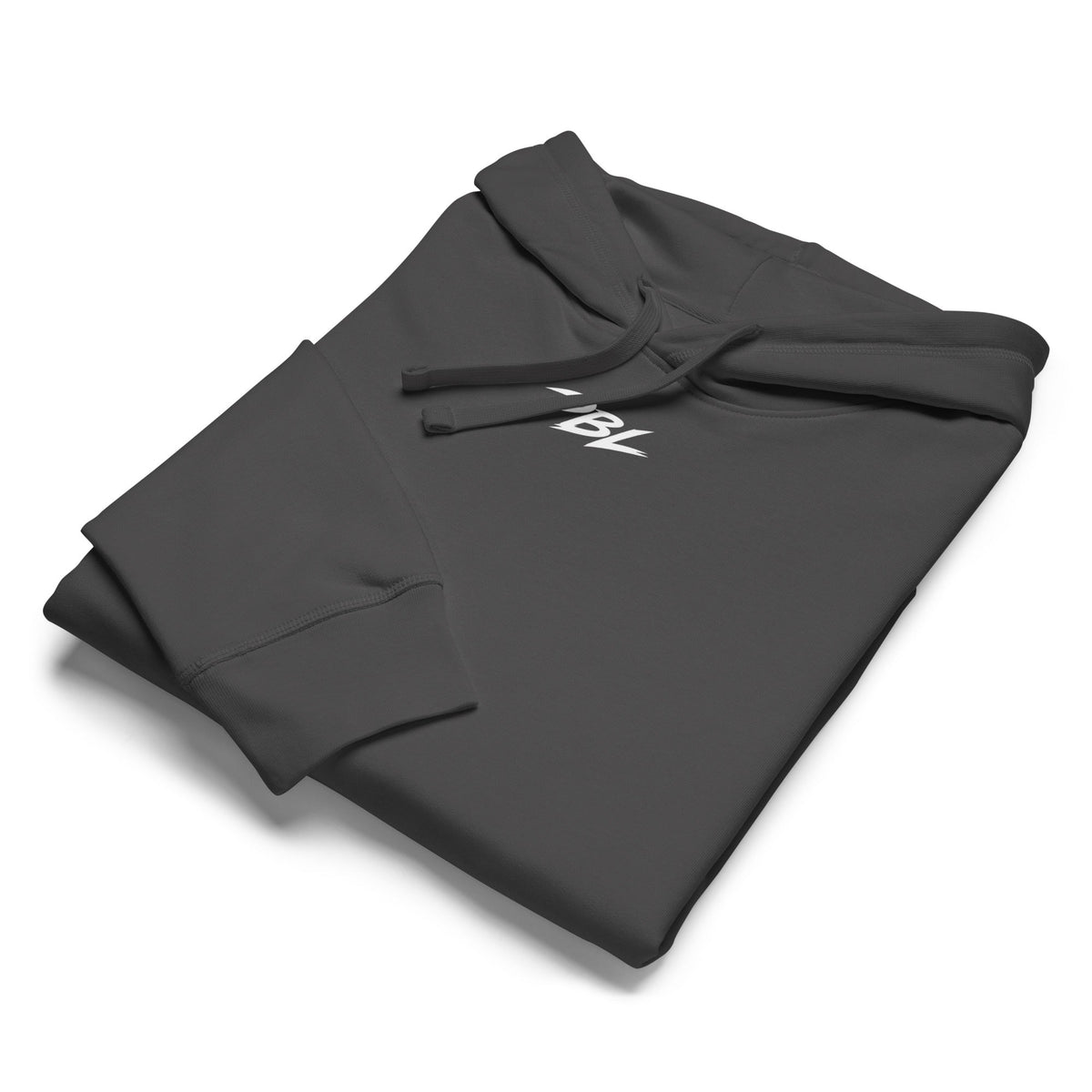 Pursue Better Living Premium Hoodie - Pursue Better Living